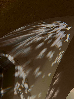 IMG_7307.png