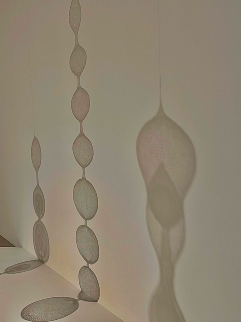 IMG_8520.png