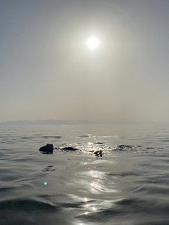P1022912.png