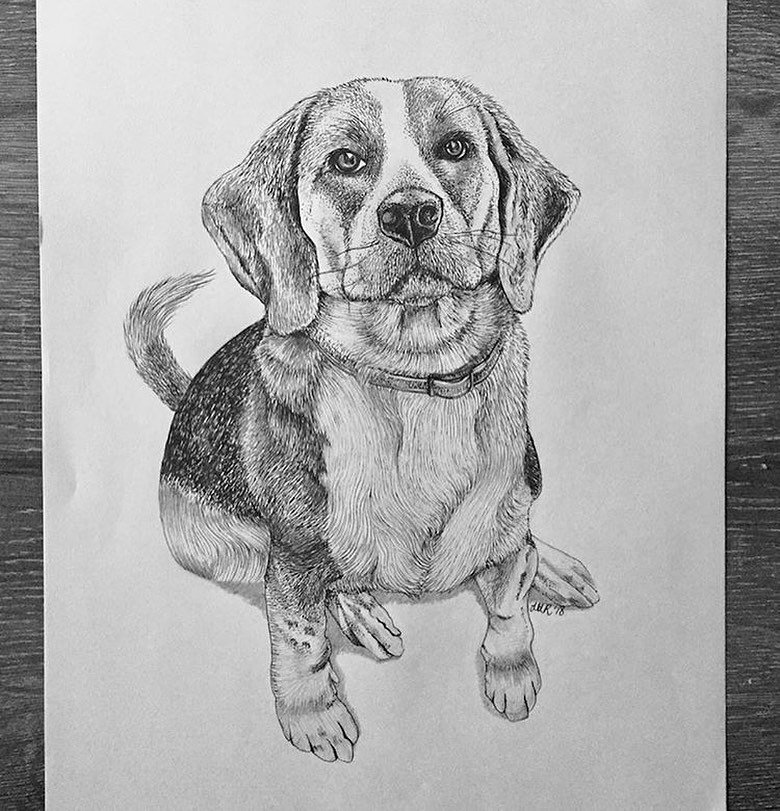 My first commissioned dog drawing! I love drawing your special animals. I really feel like I am getting to know them as I draw 🖤
.
If you have a special pet that you would like immortalised, or know of someone else who would appreciate a drawing of 