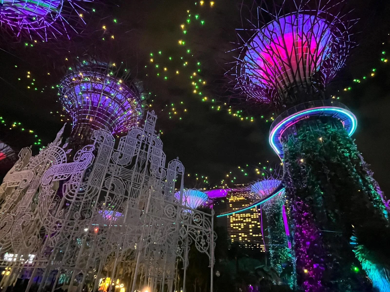 PHOTO-2025-12-15-19-22-15 2.jpg