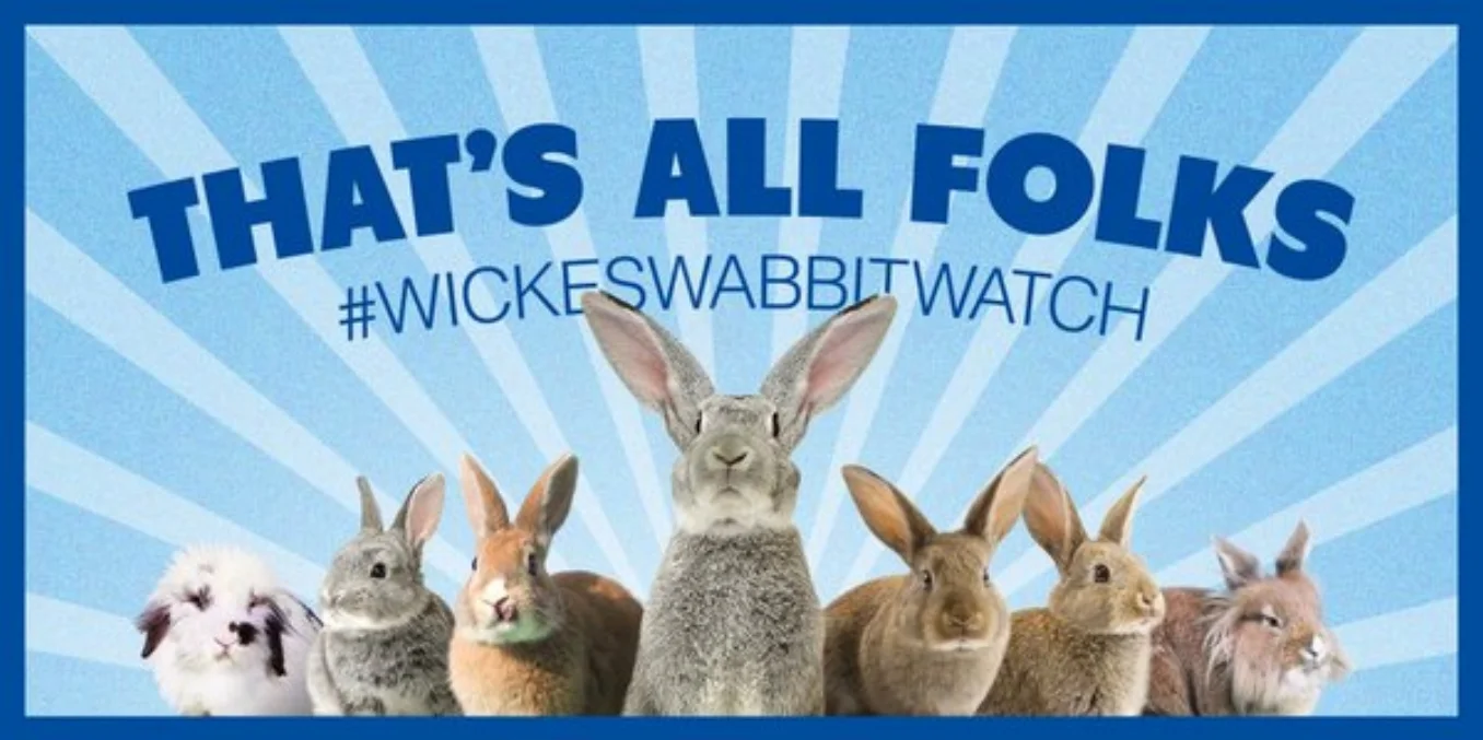 That's all folks.jpg