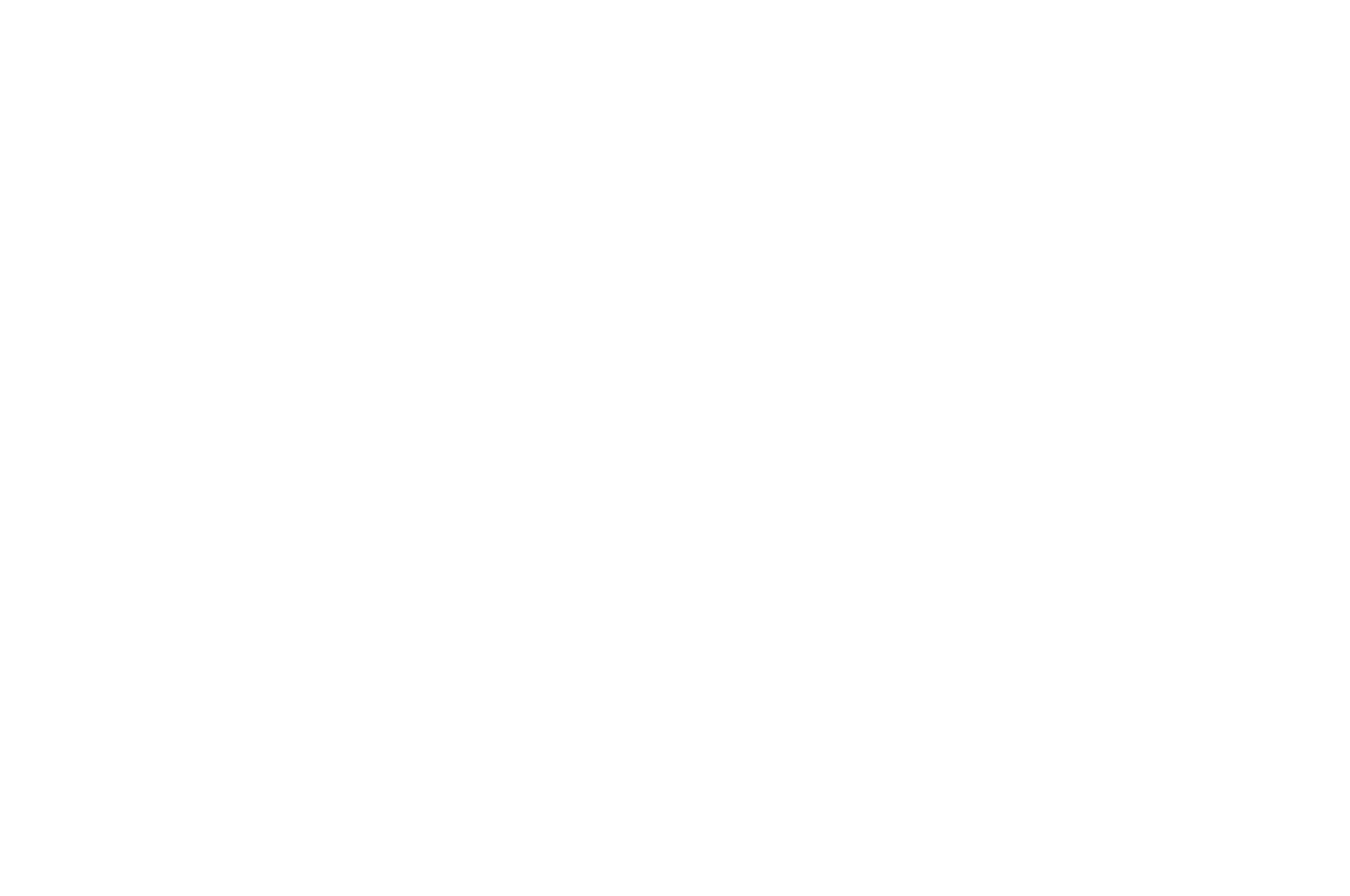 BEST DIRECTOR - Golden Bridge stanbul Short Film Festival - SPRING 2021 (1).png