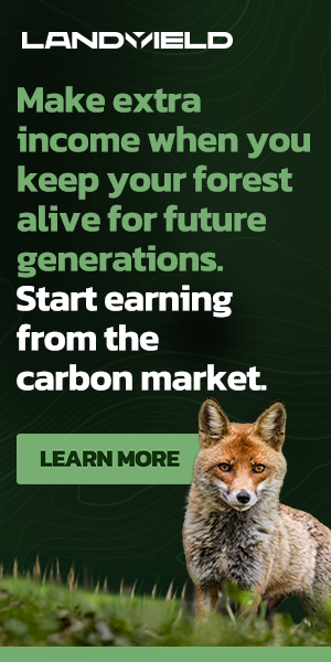 300x600_Programmatic_EarnExtraIncome.png