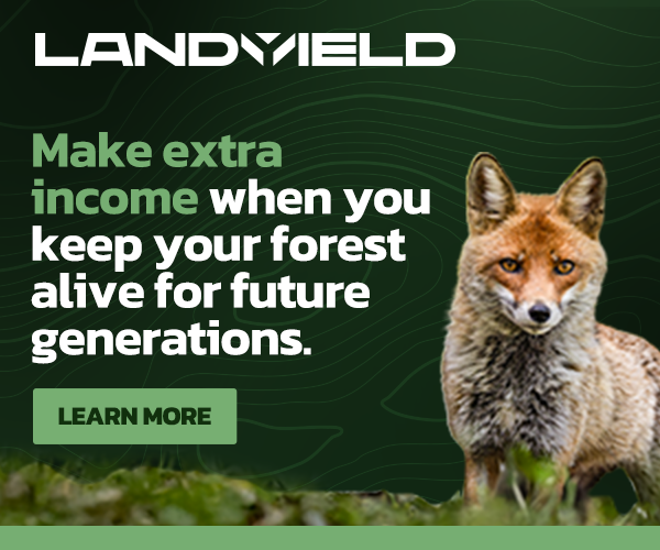 300x250_Programmatic_EarnExtraIncome@2x.png
