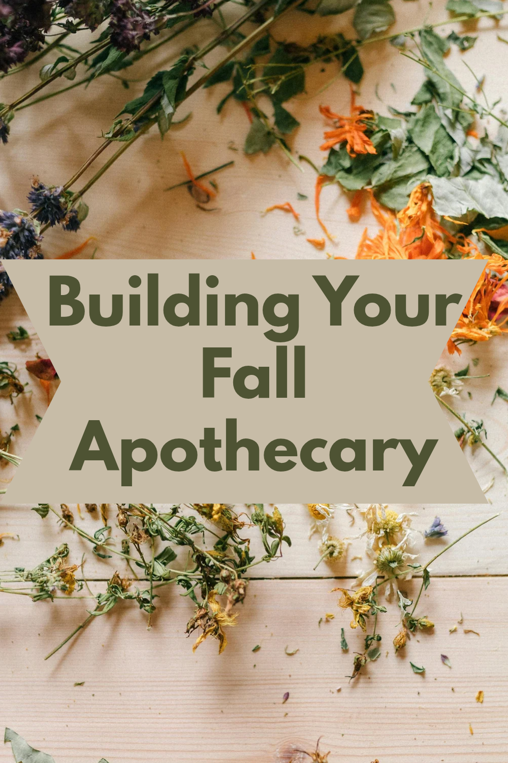 Building Your Fall Apothecary