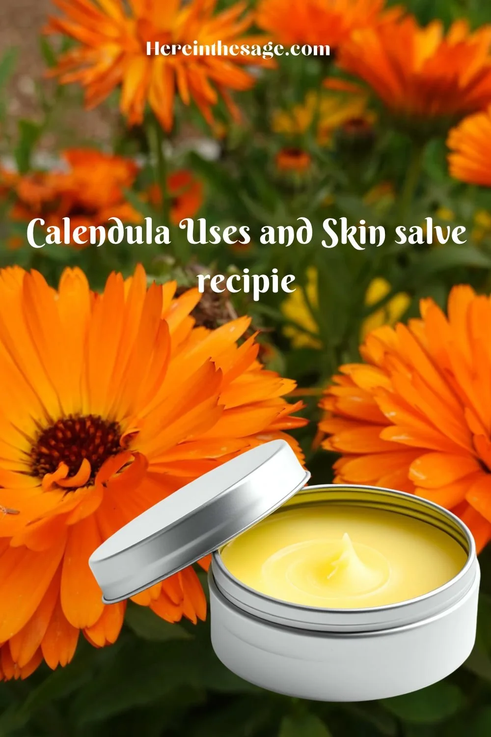 Calendula, Skins Best Friend!