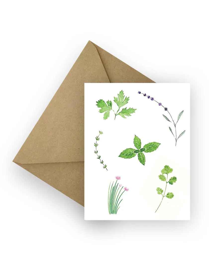 5400_Culinary Herbs_V3_Envelope_4x5_RGB.jpg