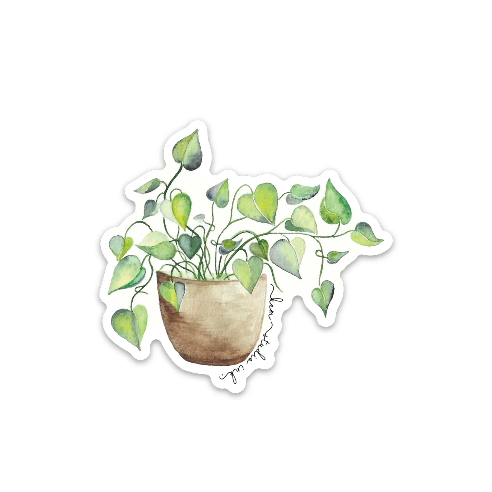 Pothos_STICKER.jpg