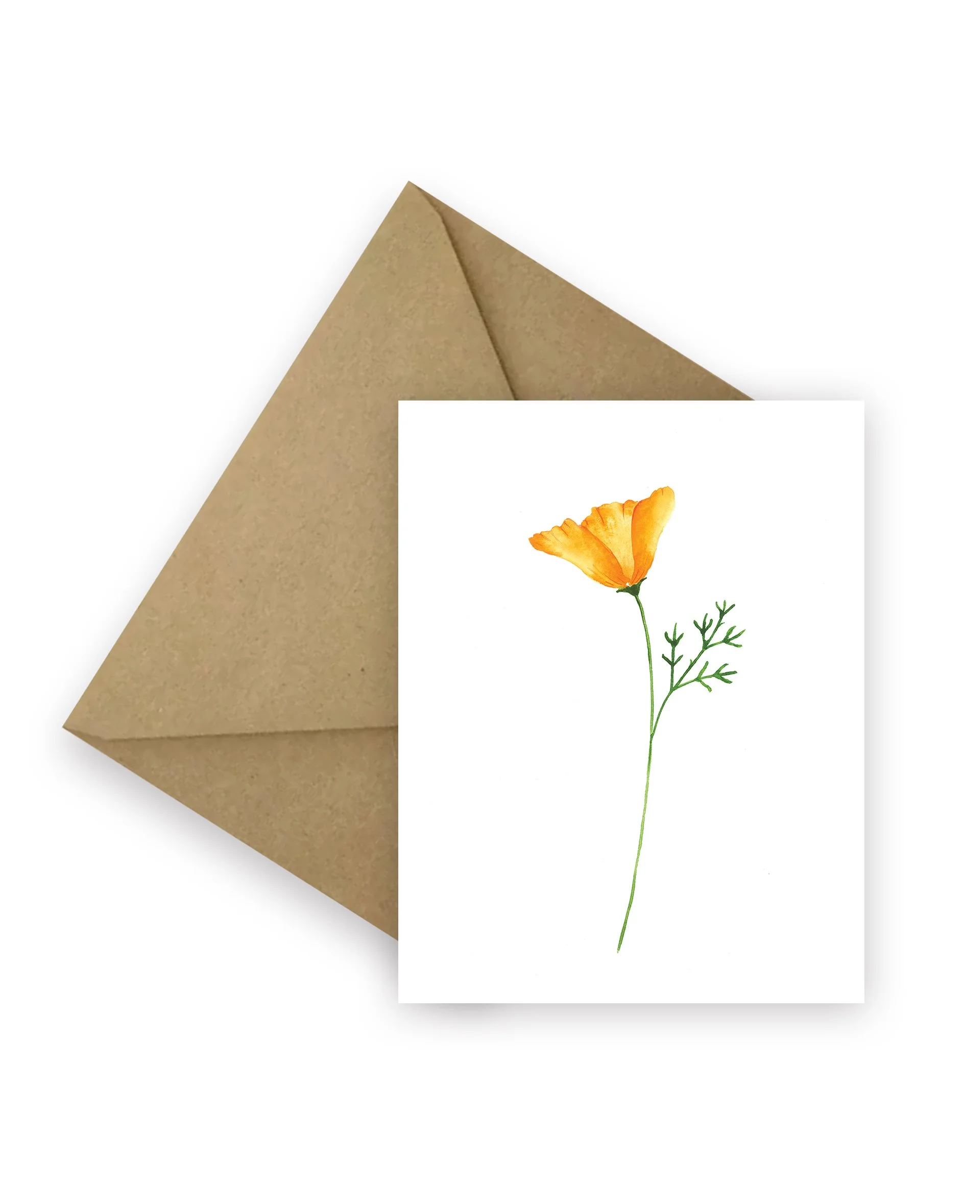 1300_CA Poppy_V3_Envelope_4x5_RGB.jpg