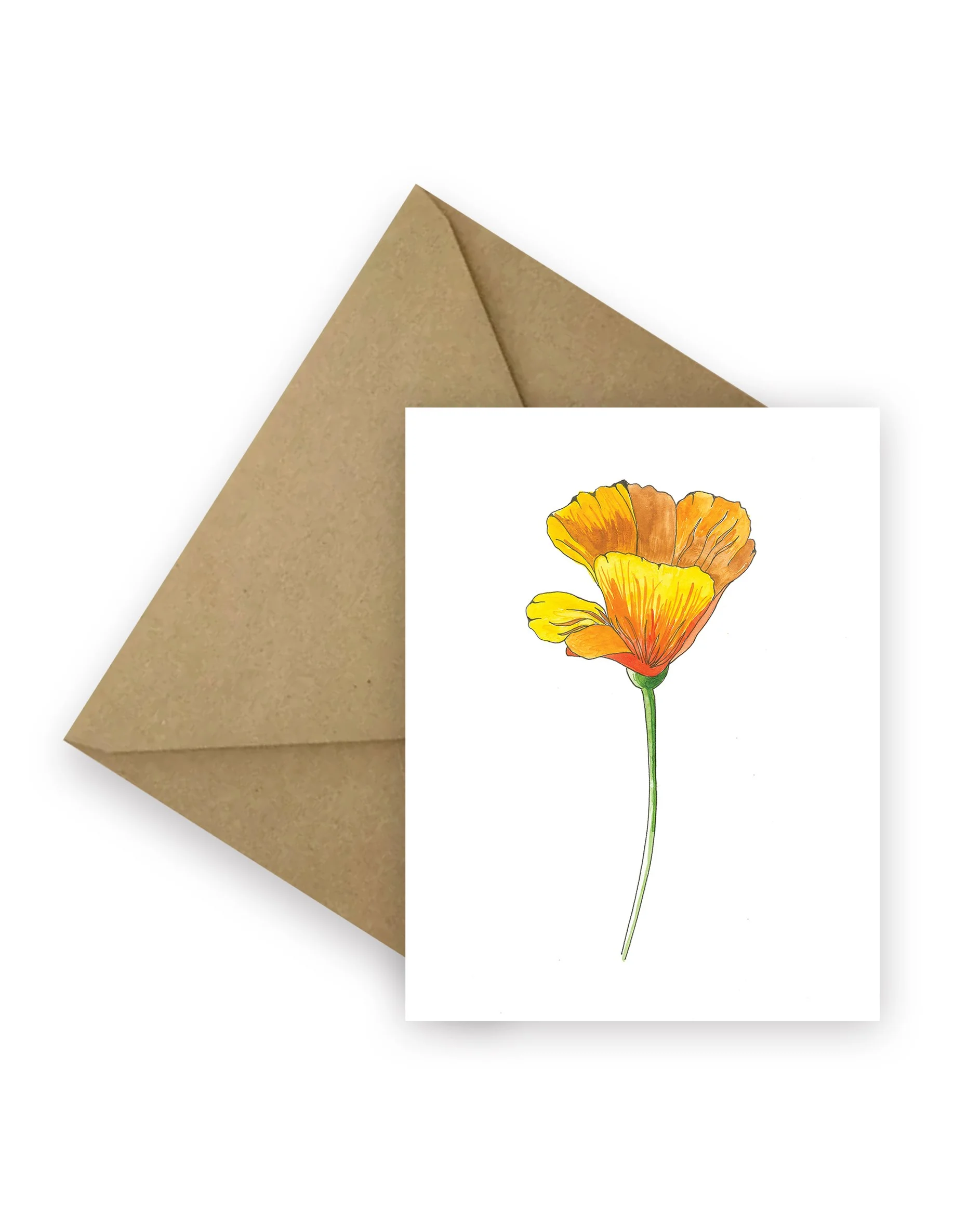 California Poppy with Lines