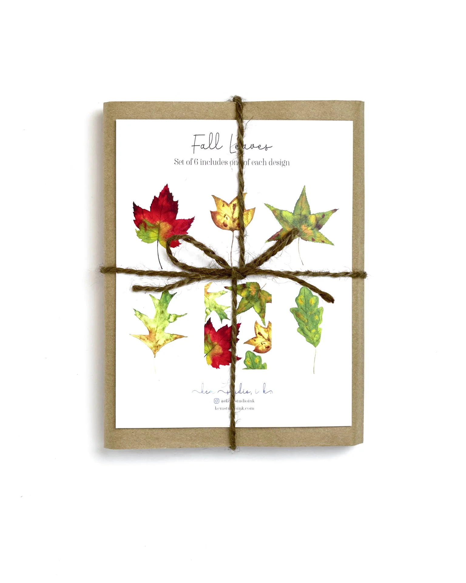 Fall Leaf Card Gift Set of 6 cards / Gift Bundle +Sticker