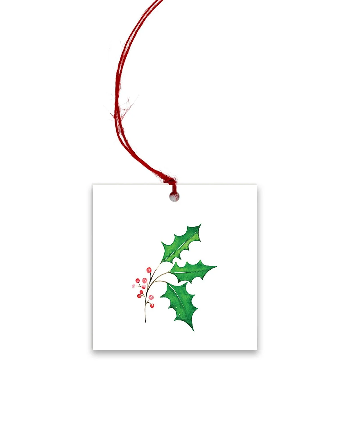 7605_Holly_Colored Twine_GT.jpg