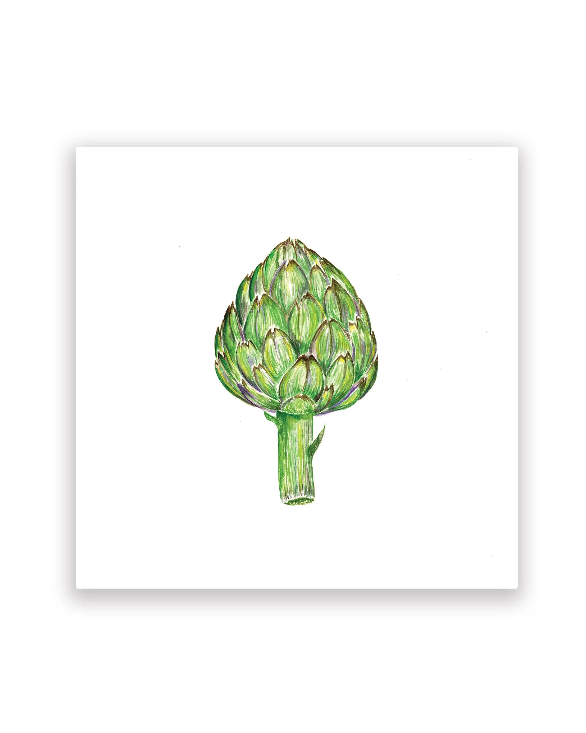 California Artichoke Print 8x8
