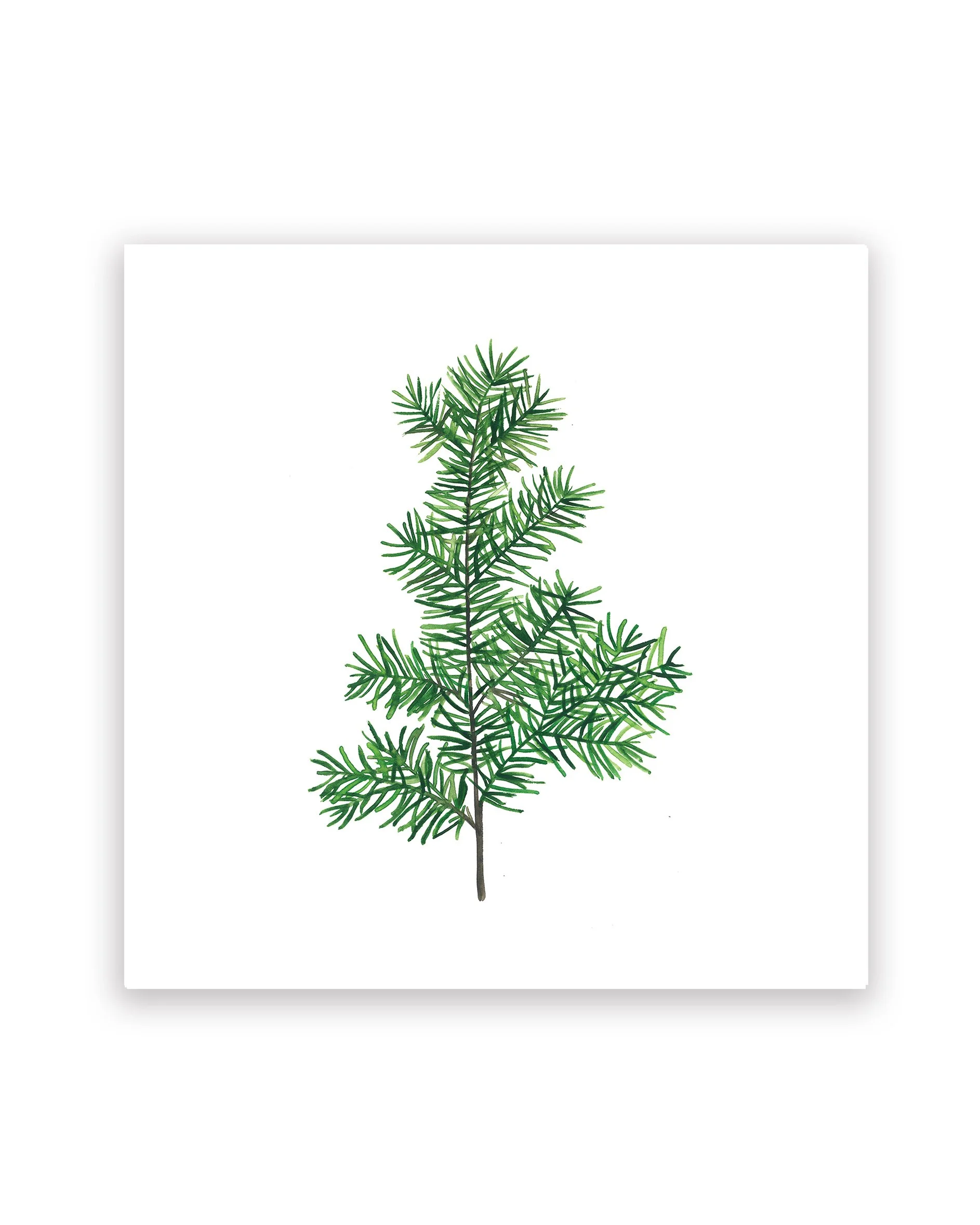 Spruce Print 8x8