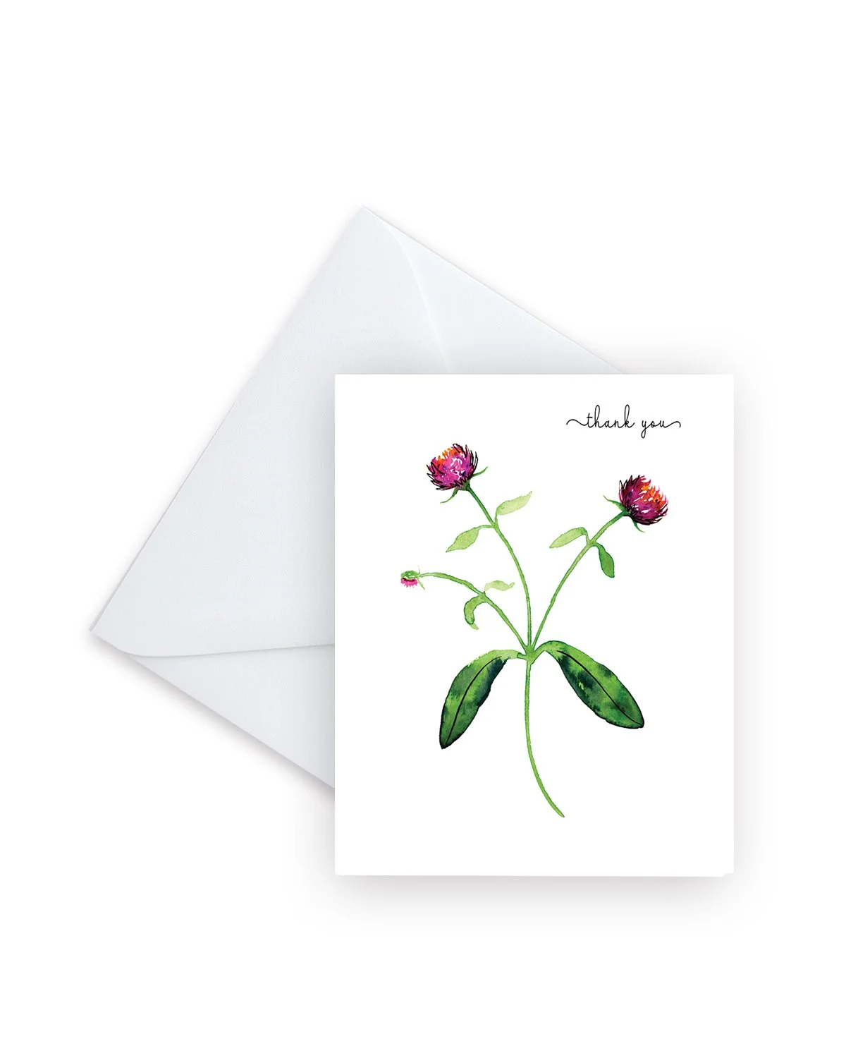2325_TY Gomphrena_V3_Envelope_4x5.jpg