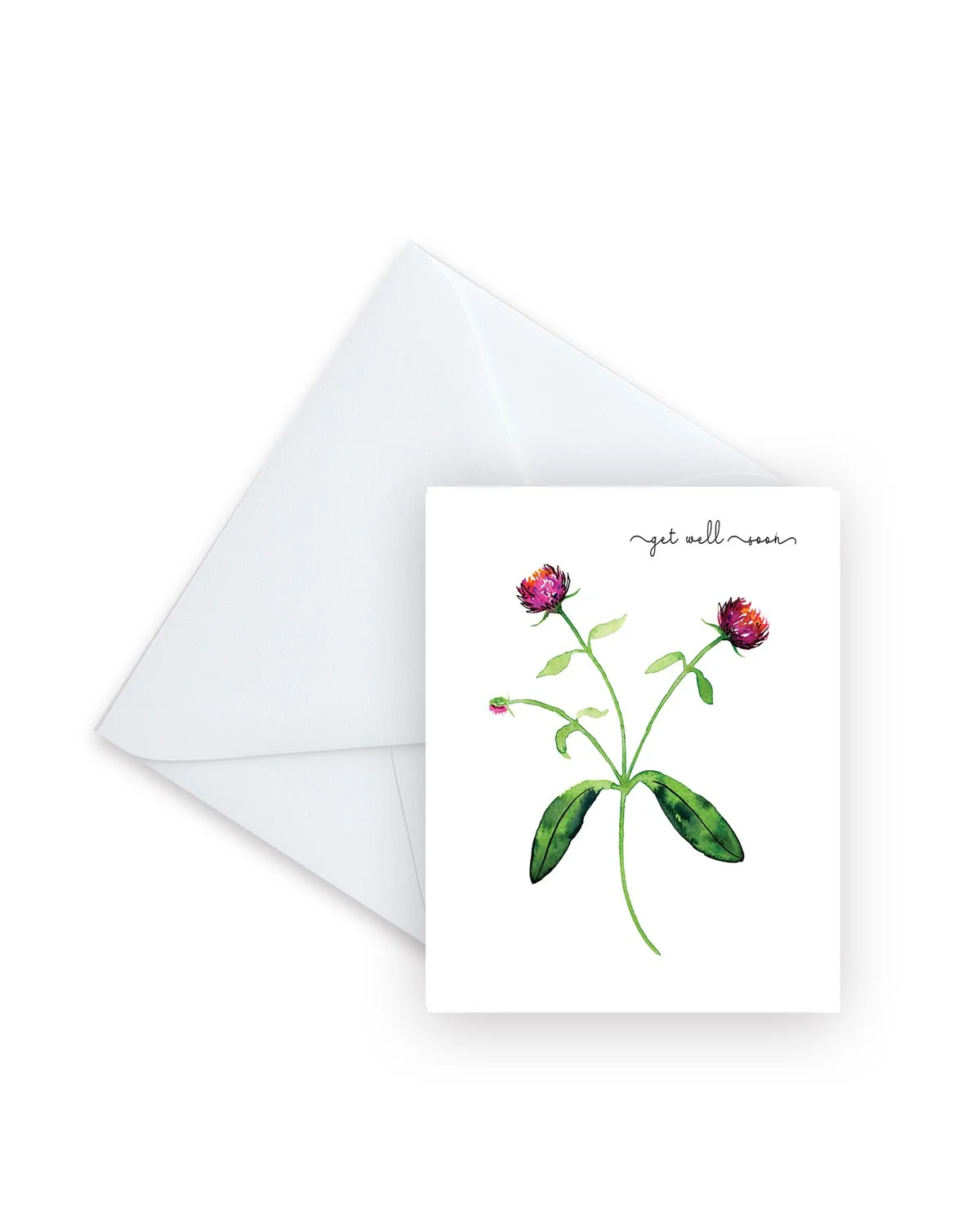 Get Well Soon Gomphrena