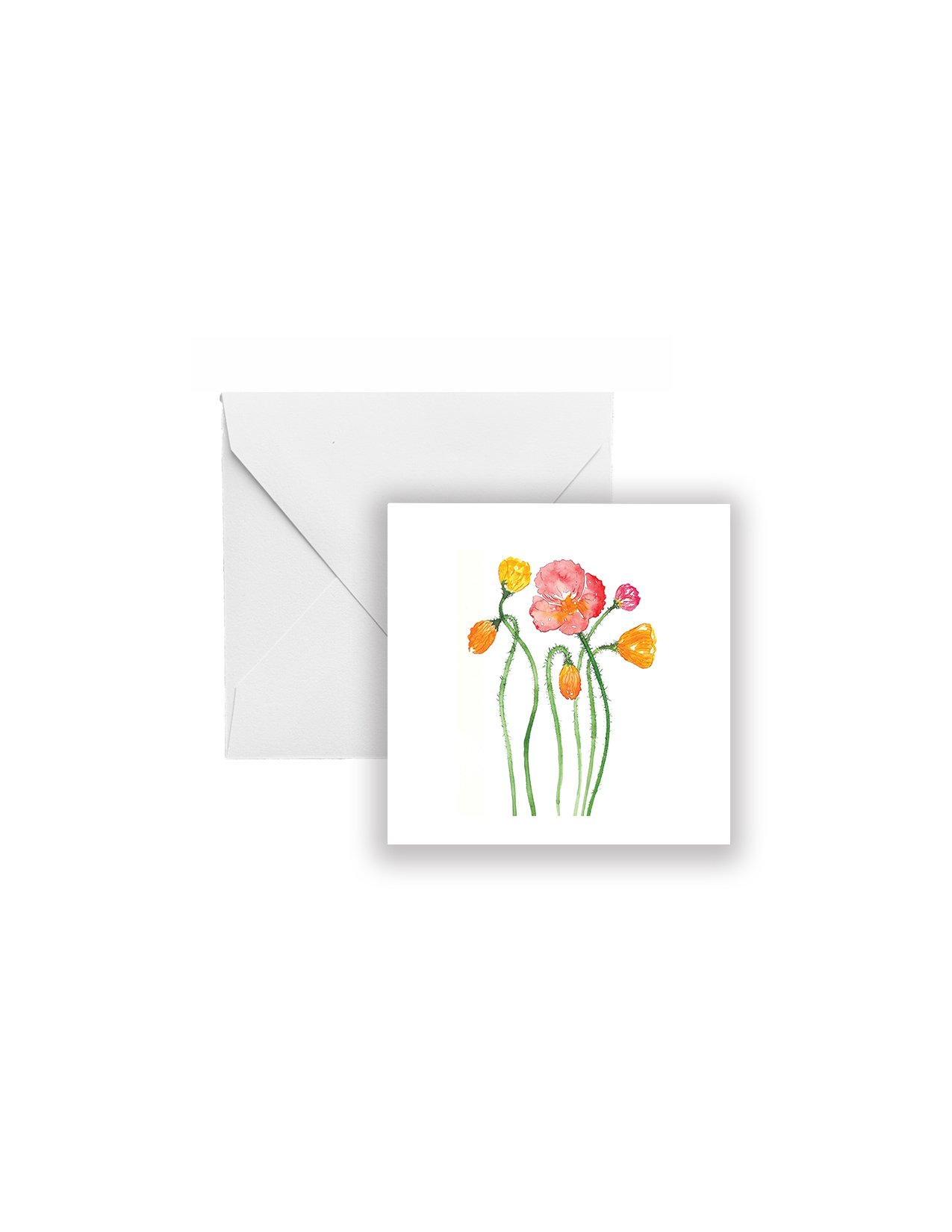 Icelandic Poppies Gift Enclosure