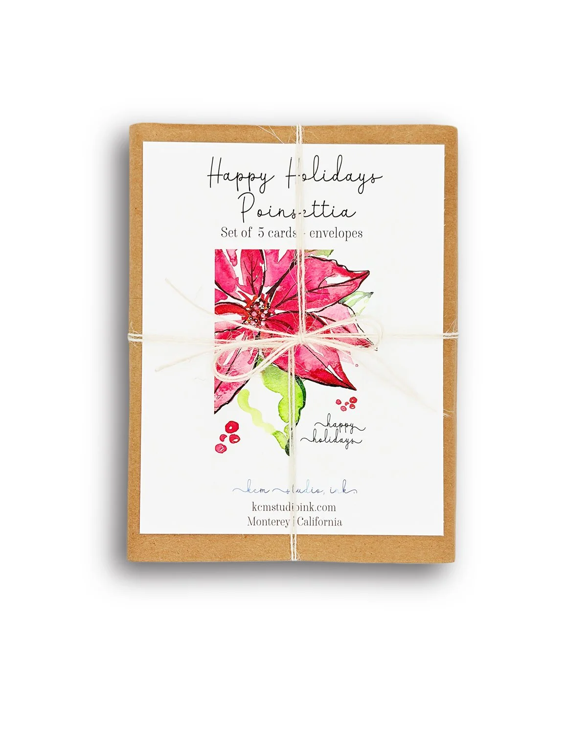 *3360_Splash of Poinsettia_WEBSITE.jpg
