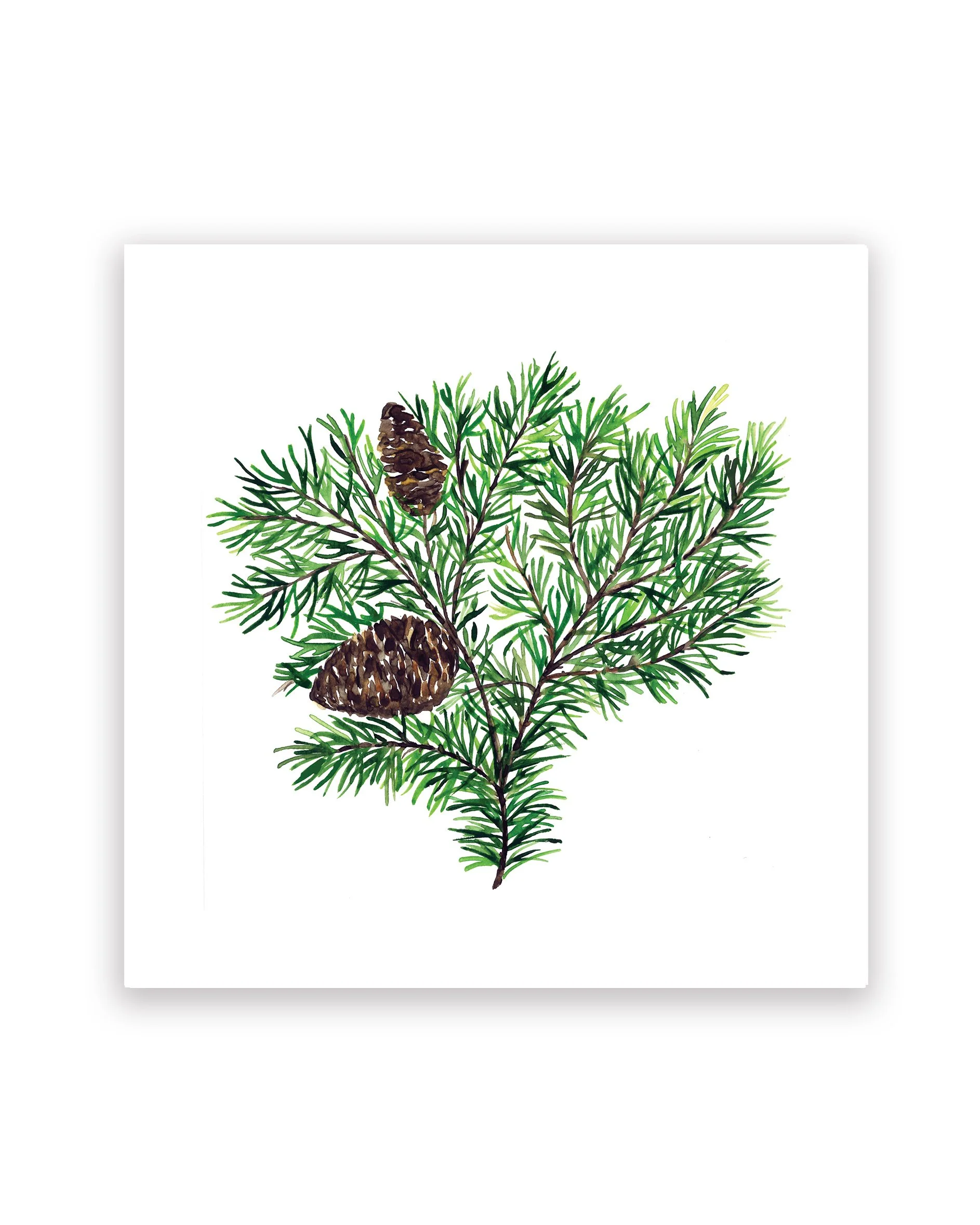 Fir Print 8x8