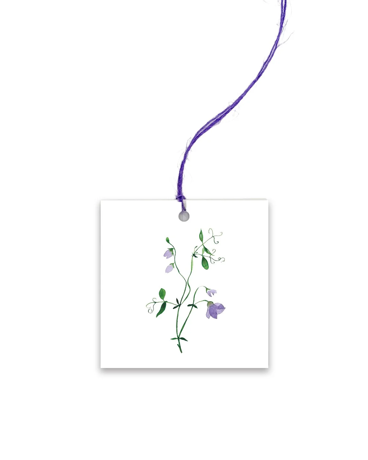 Sweet Pea_colored twine.jpg