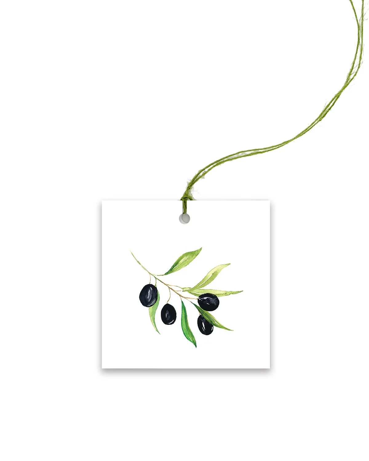 Olive_Colored Twine.jpg