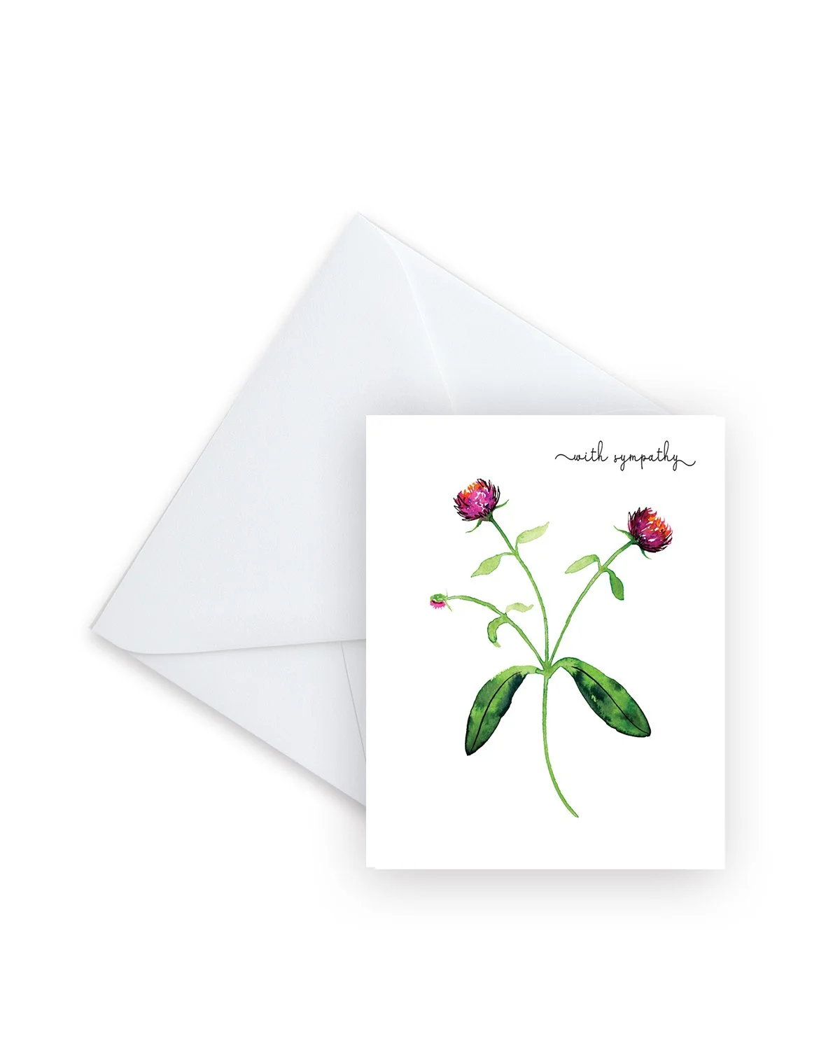 With Sympathy Gomphrena