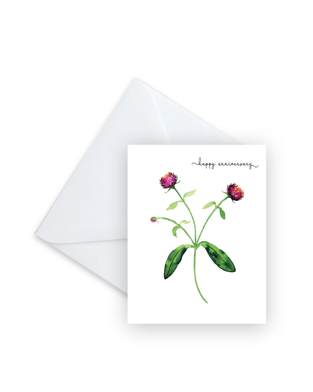 Happy Anniversary Gomphrena