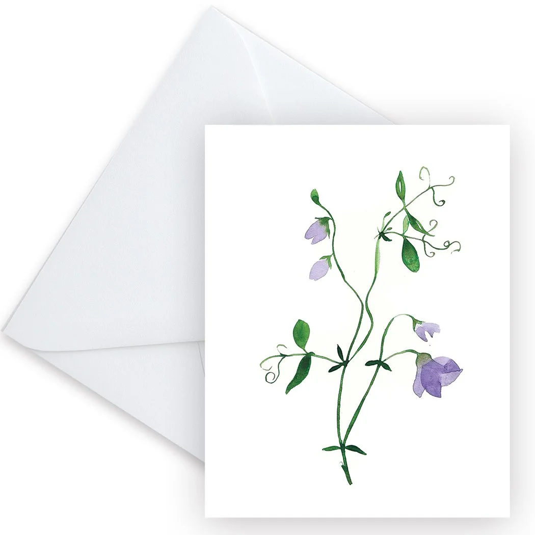 5700_Sweet Pea_Envelope_3.5x3.5.jpg