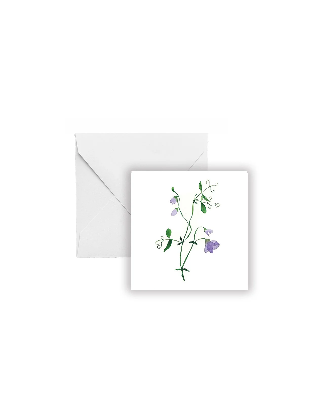 Sweet Pea Gift Enclosure