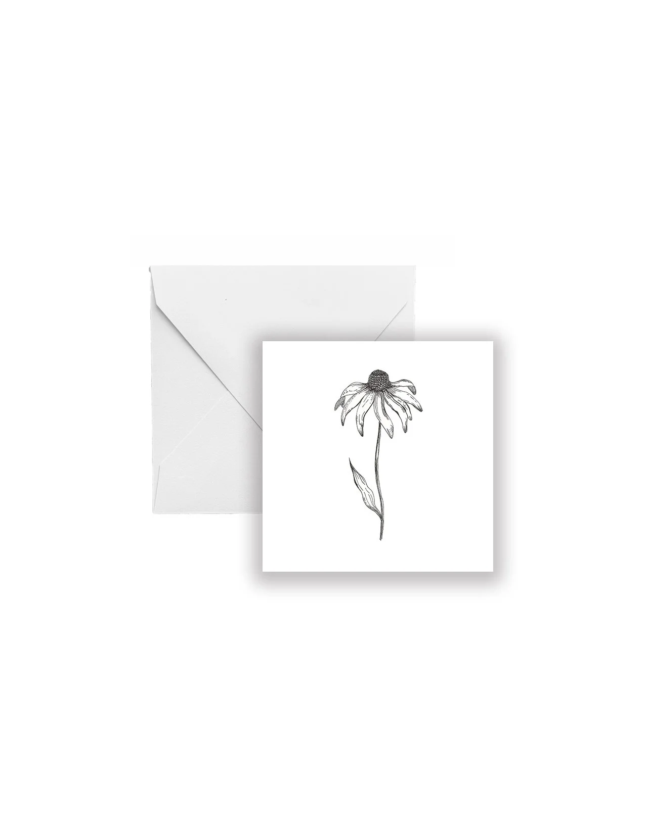 B&W Black Eyed Susan Gift Enclosure