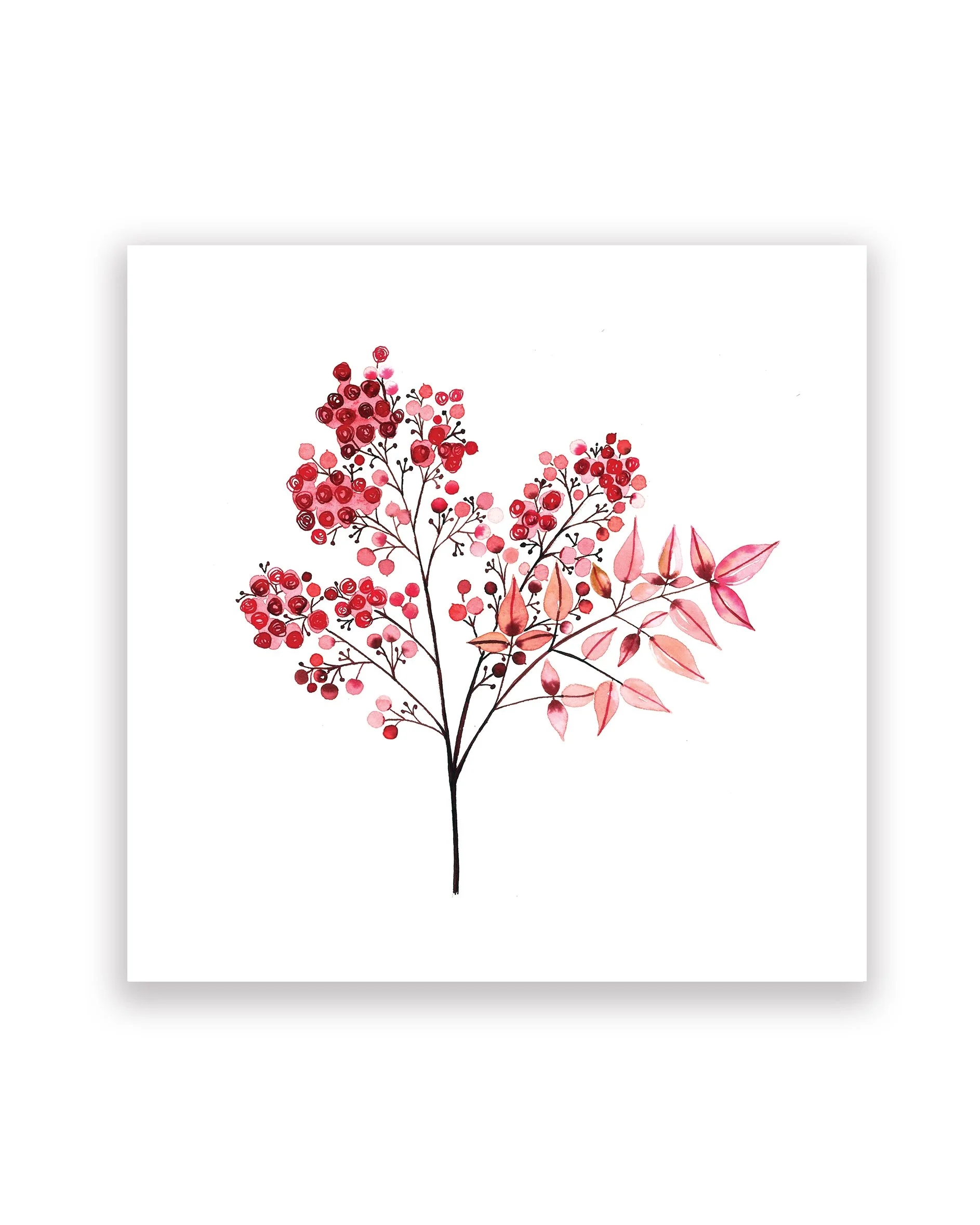Heavenly Bamboo Print 8x8