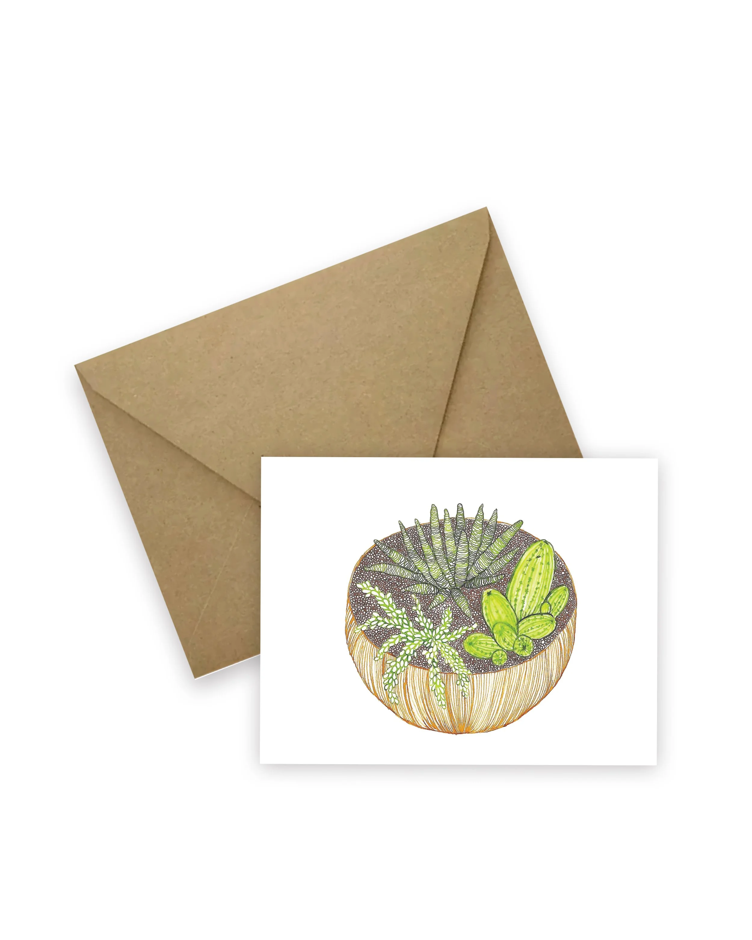 3610_Bowl of Succulents_H_V3_Envelope_4x5_RGB.jpg
