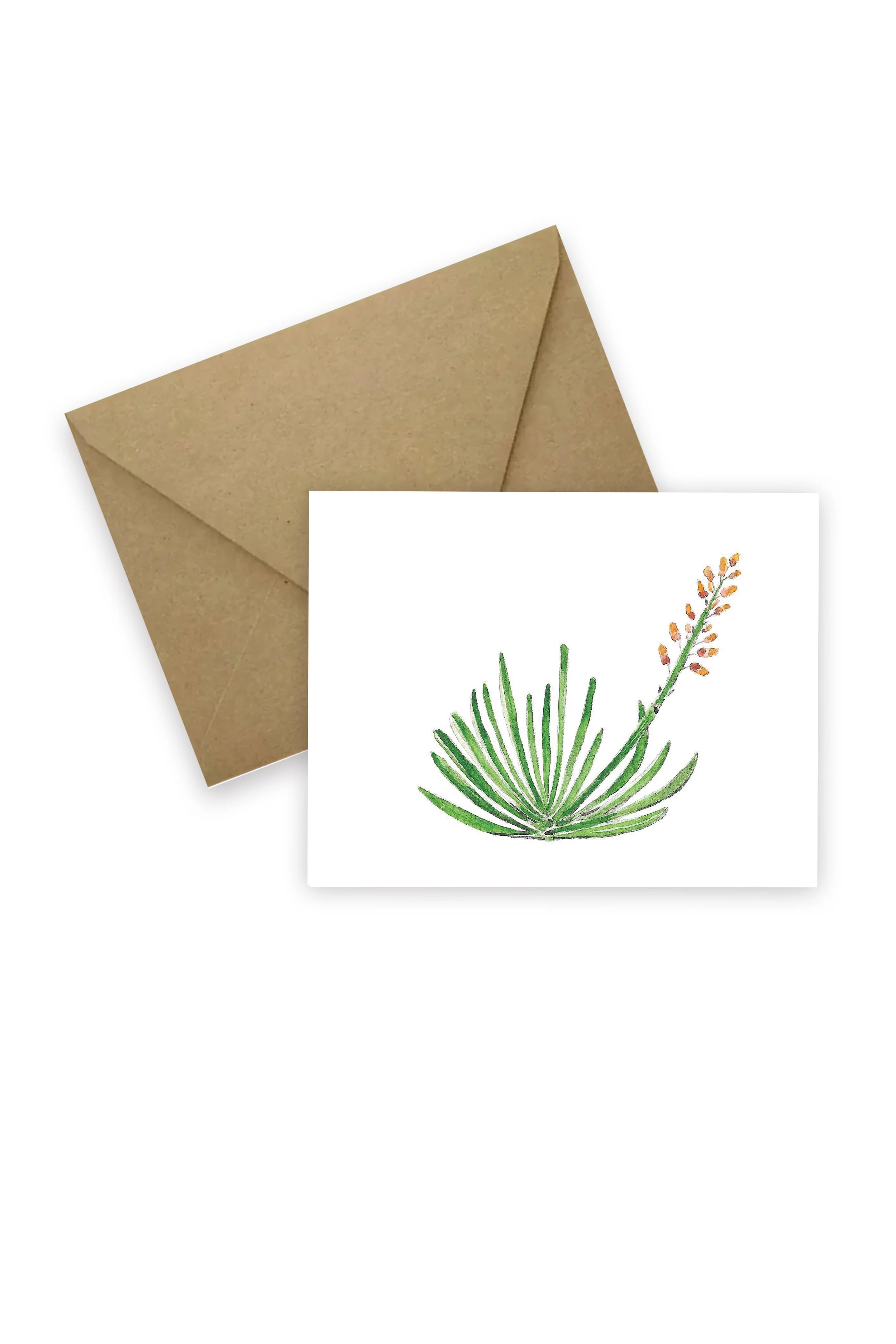 3605_Fan Aloe_V2_Envelope_4x6_RGB.jpg