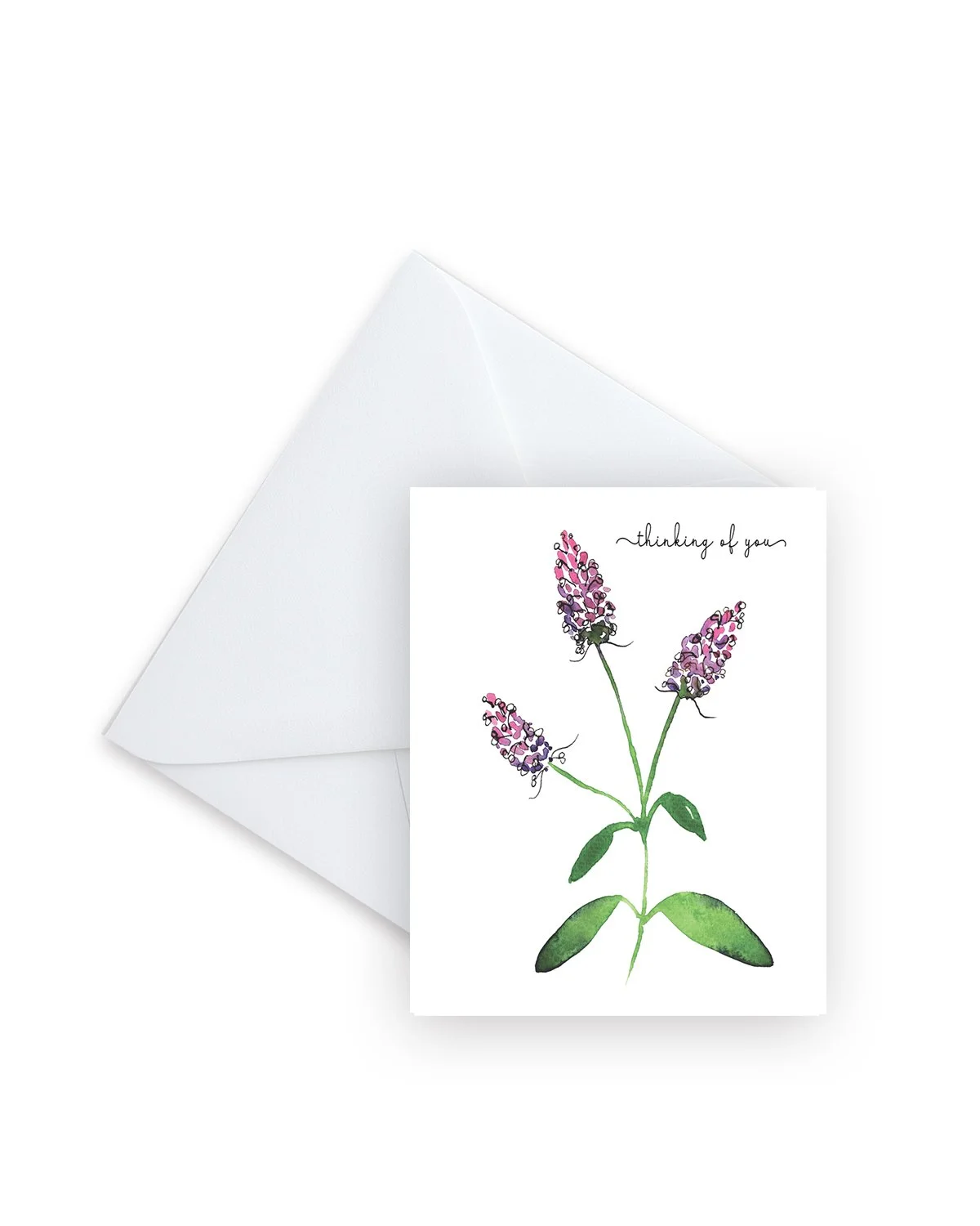 Thinking of You Butterfly Bush