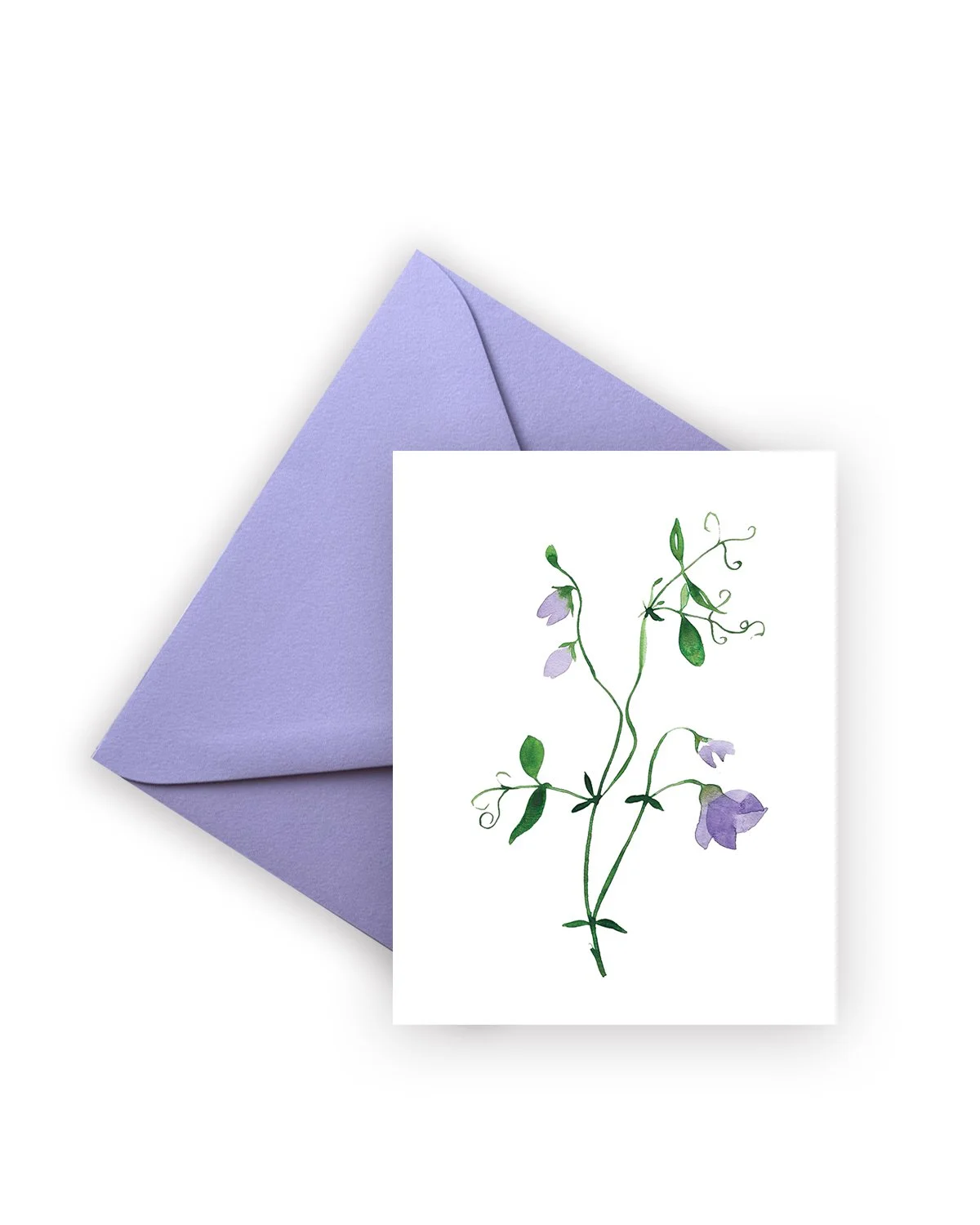 5700_Sweet Pea_V_V3_Purple_Envelope_4x5_RGB.jpg