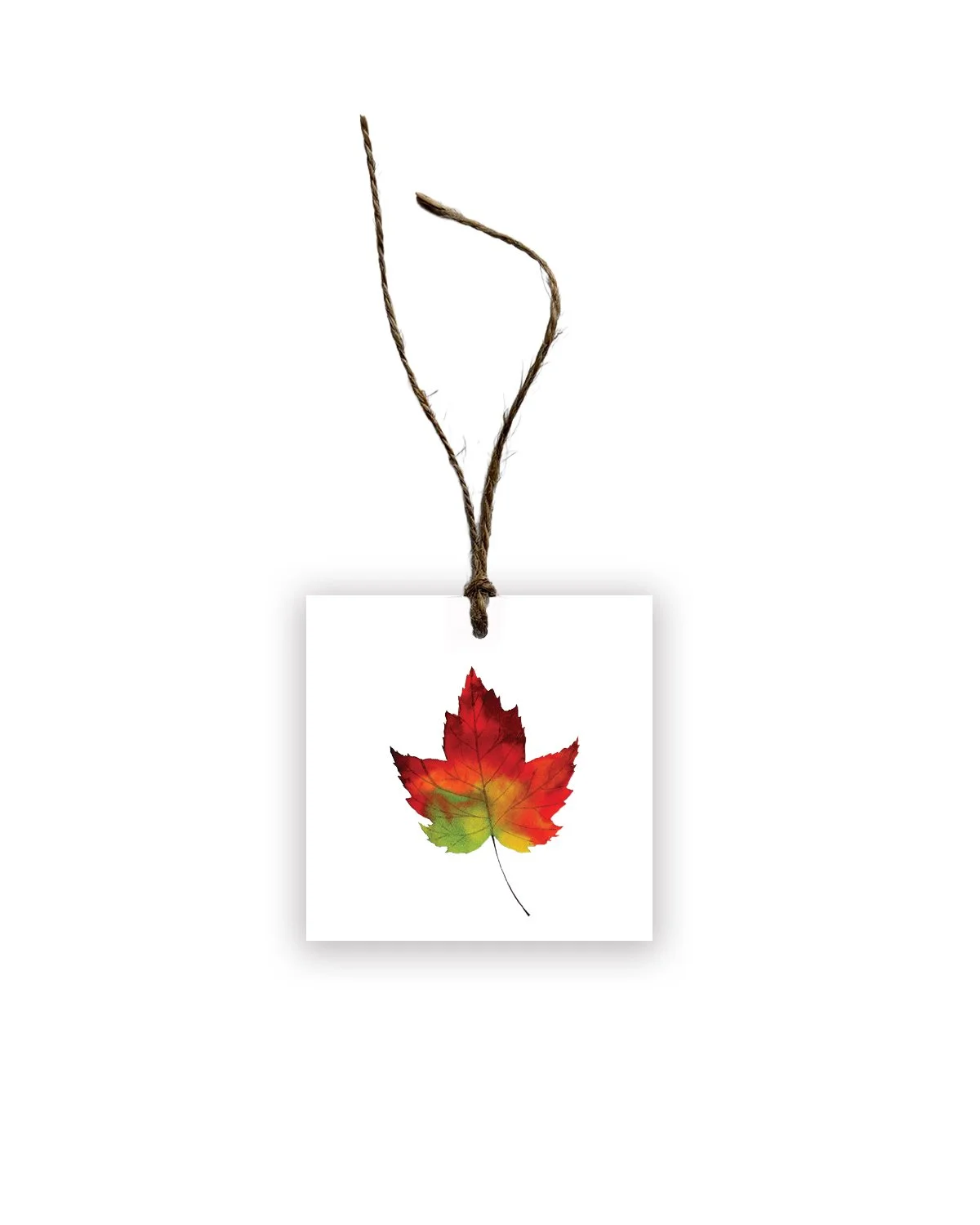 Red Leaf Maple Gift Tag Set