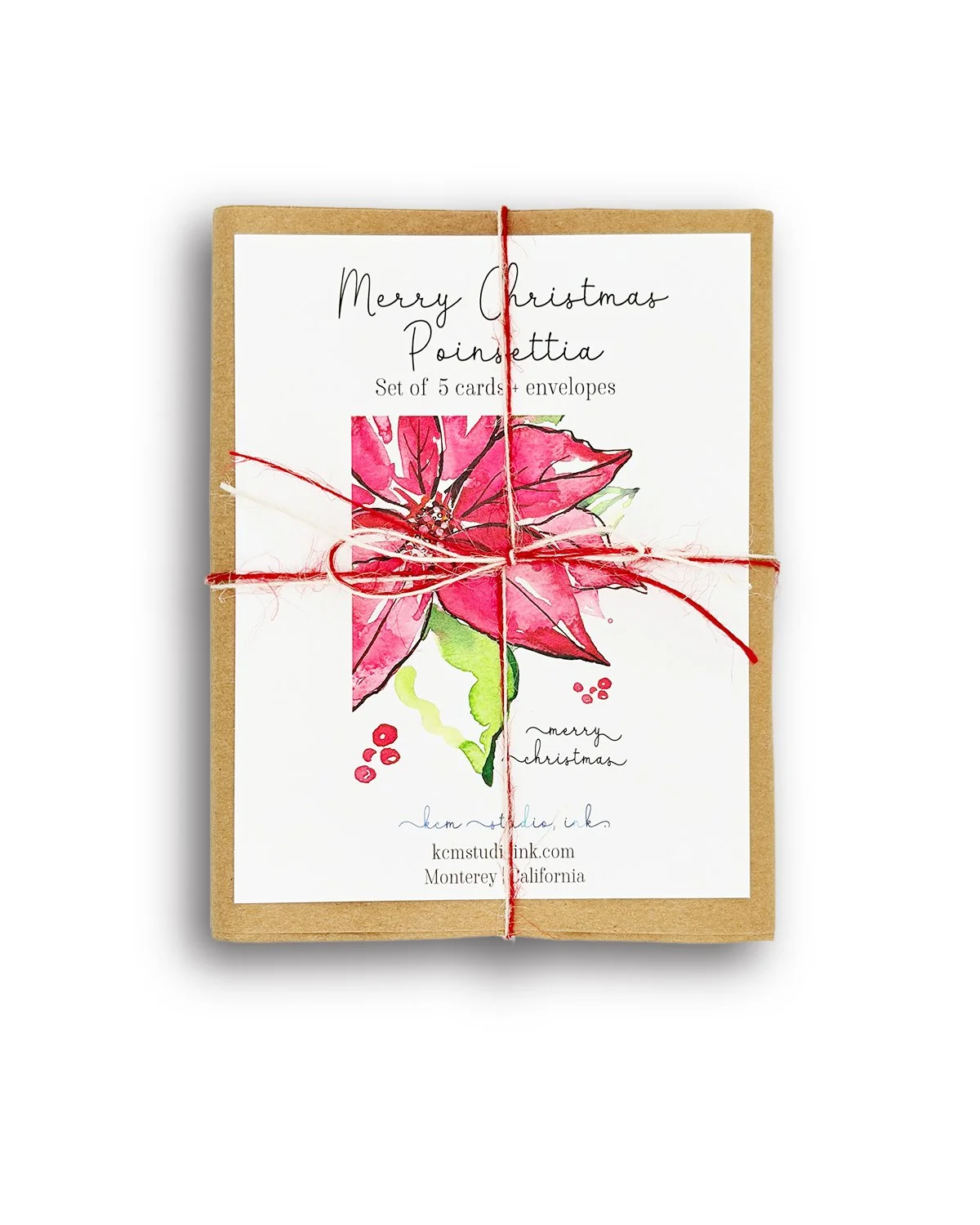 *3355_Splash of Poinsettia_WEBSITE.jpg (Copy)