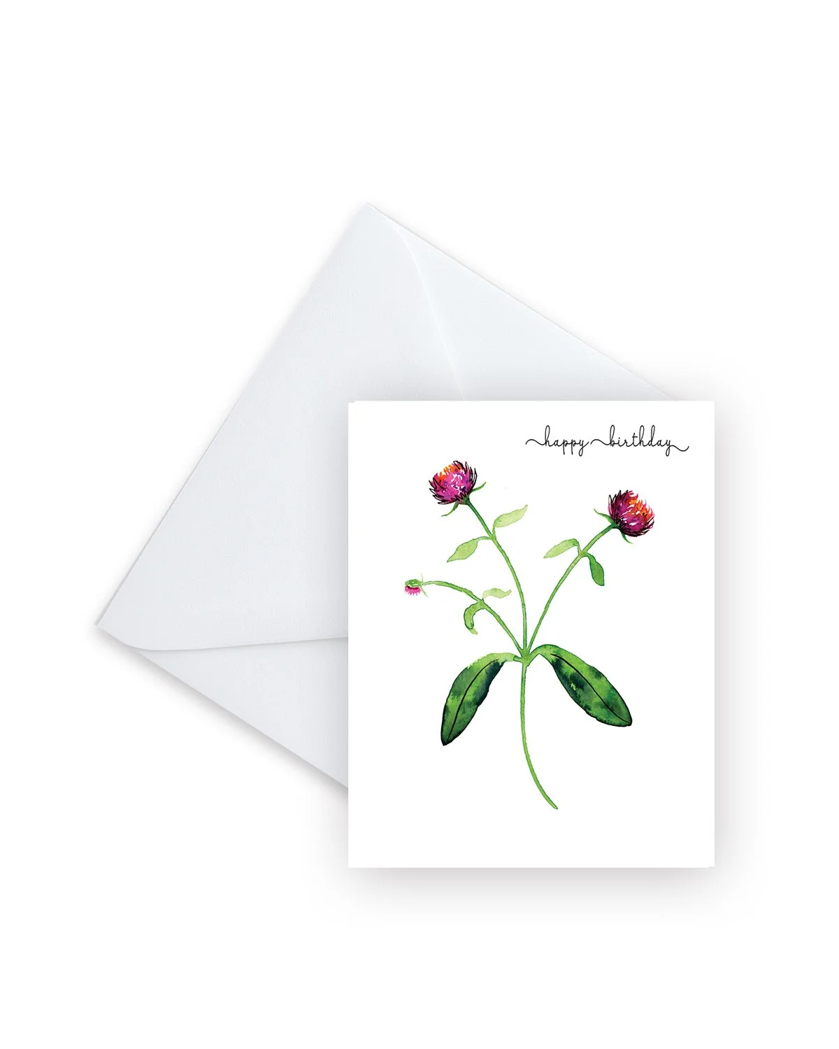 2425_HB Gomphrena_V3_Envelope_4x5.jpg