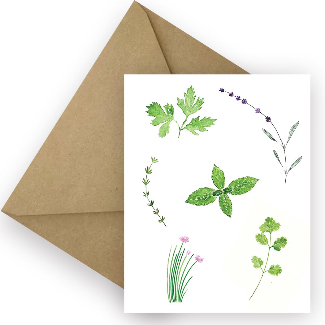 5400_Culianary Herbs_Envelope_3.5x3.5_RGB.jpg