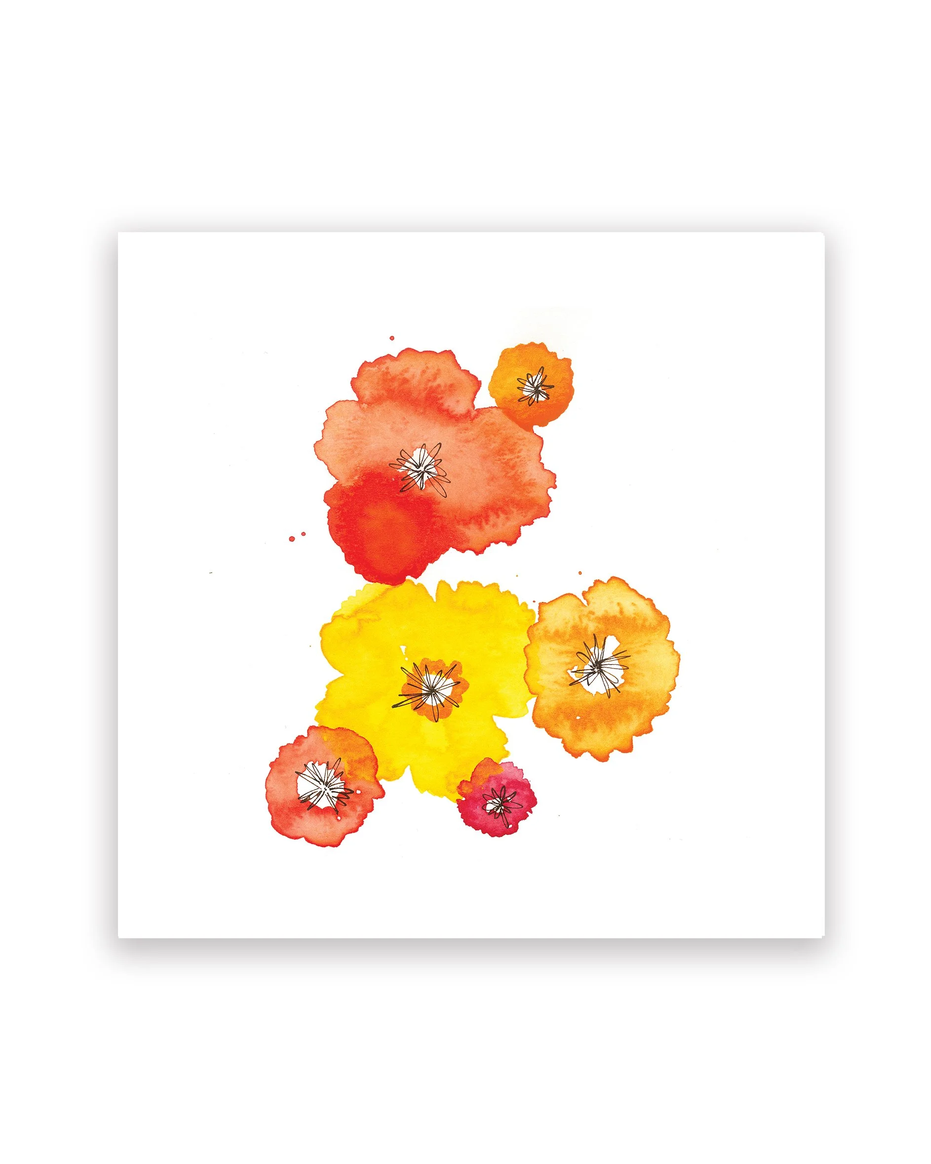 Splash of Poppies_8x8_WEBSITE_4x5_RGB.jpg