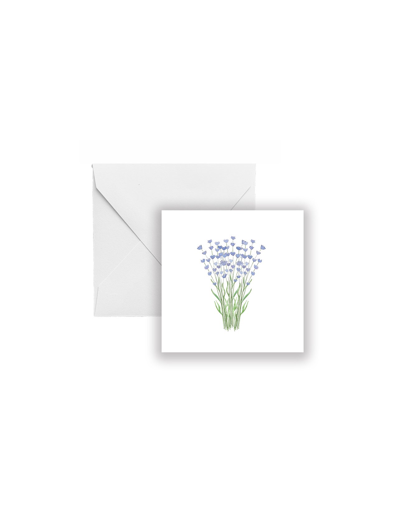 1965_Lavender_Envelope_GE_RBG_4x5.jpg