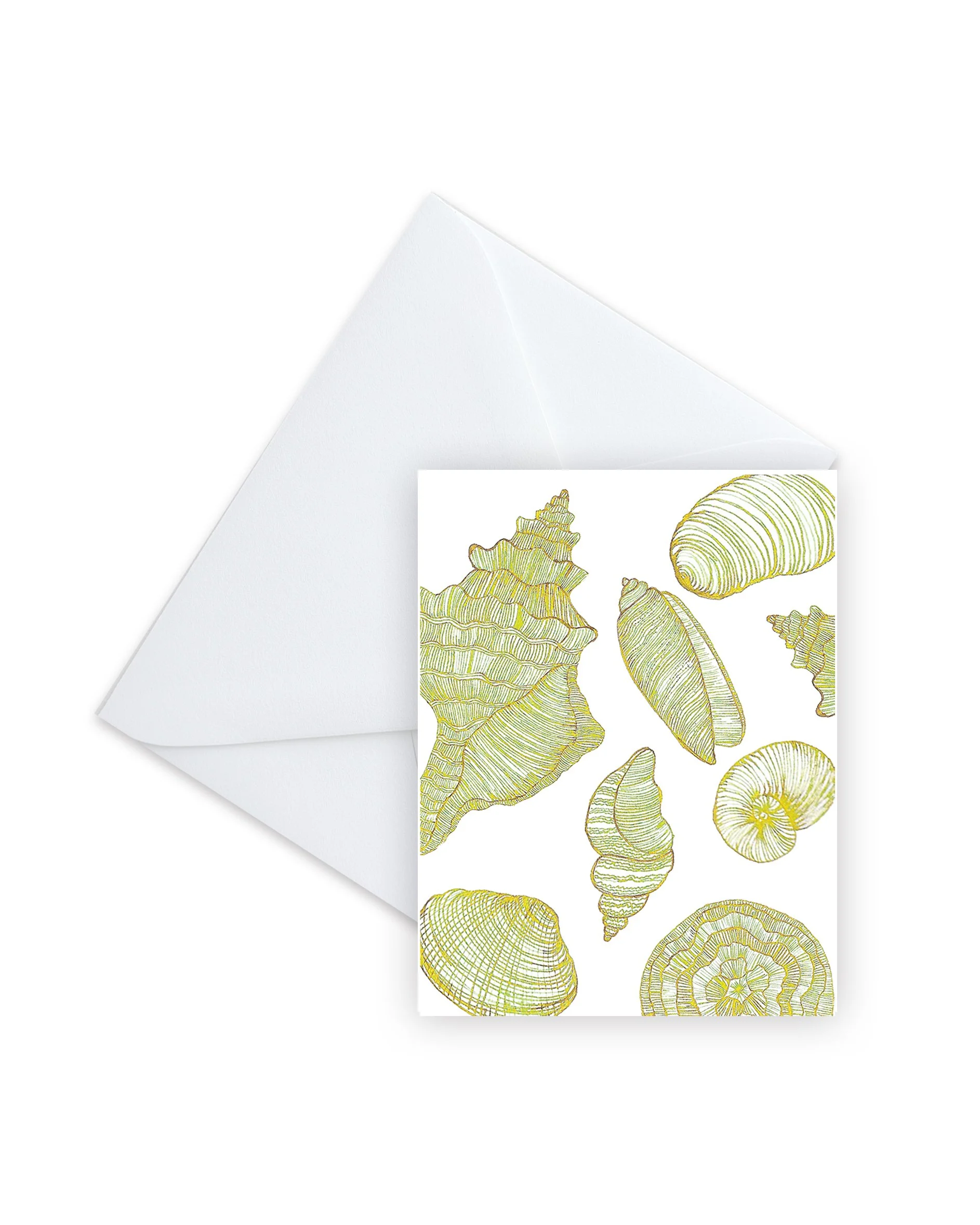 3700_Green_V3_Envelope_4x5.jpg