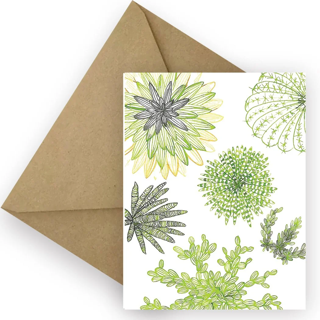3615_Splash of Succulents_Envelope_3.5x3.5_RGB.jpg
