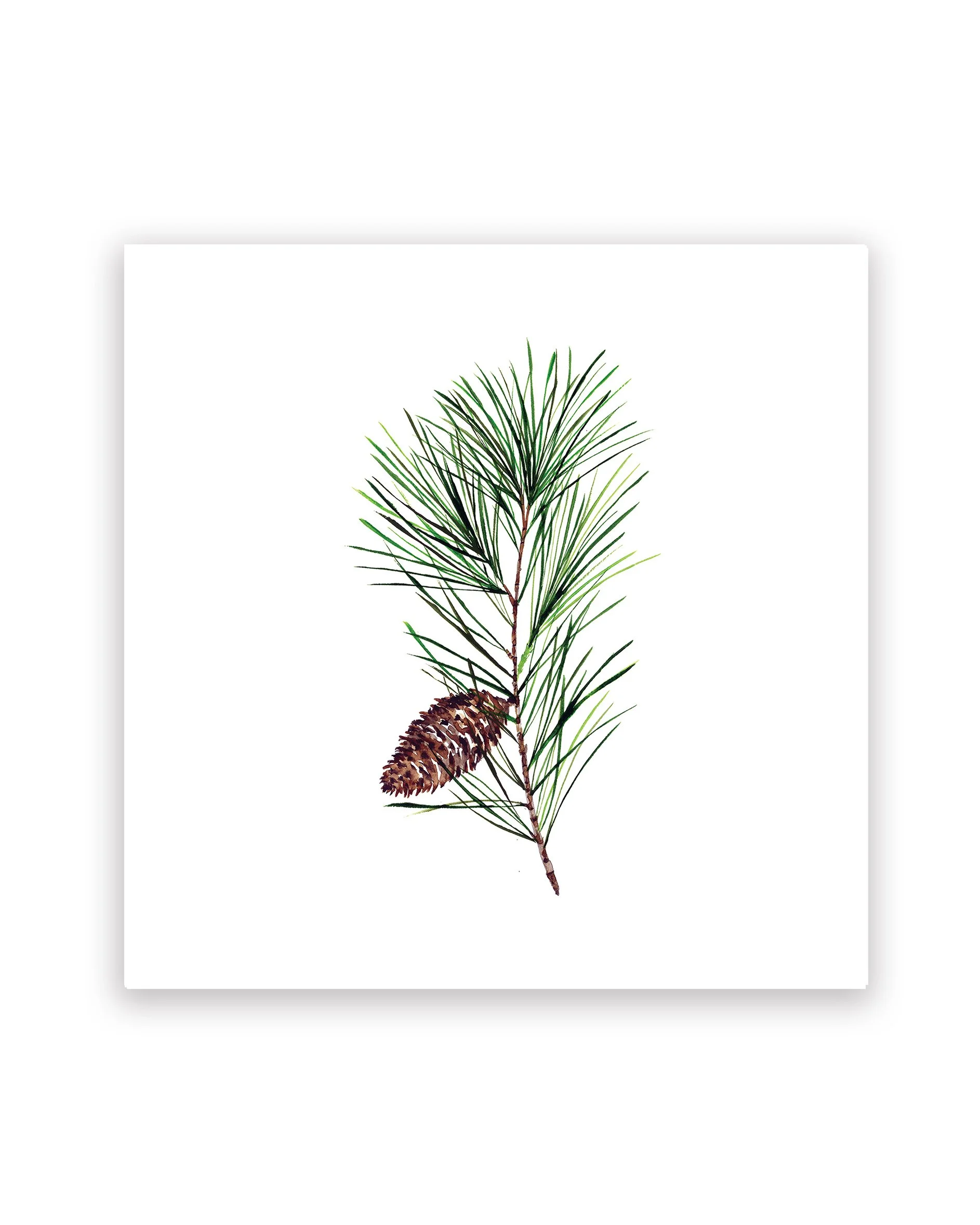 Pine Print 8x8