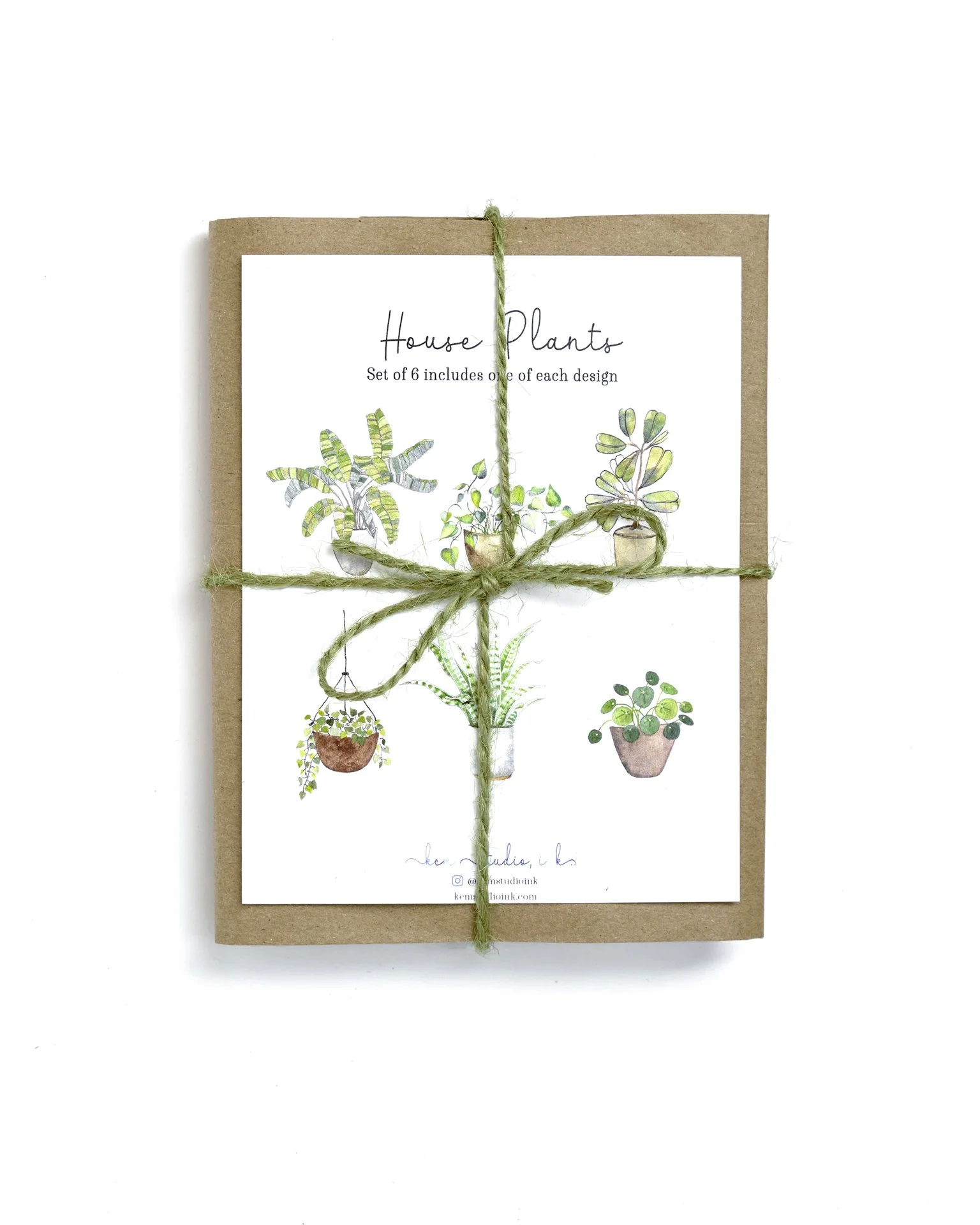 3450_House Plants_Set_Photo.jpg