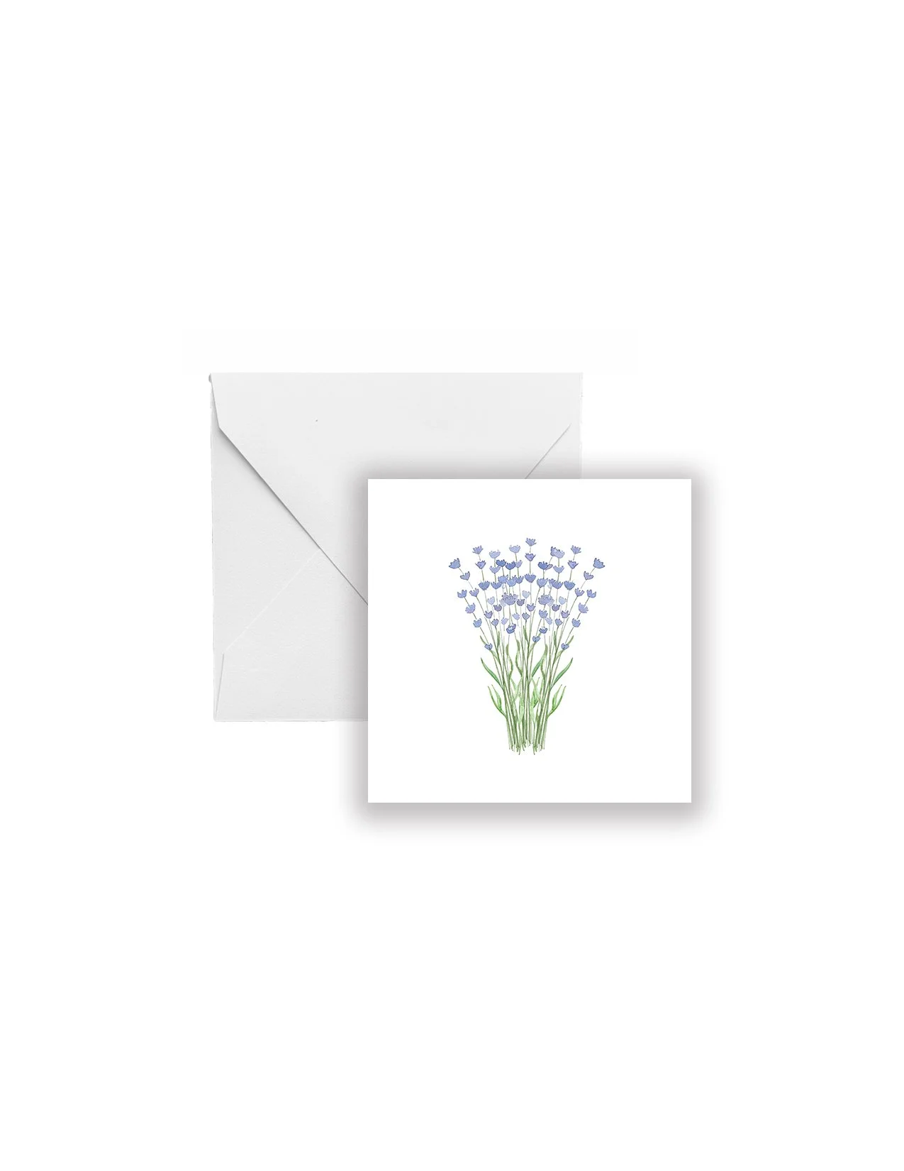 1965_Lavender_Envelope_GE_RBG_4x5.jpg