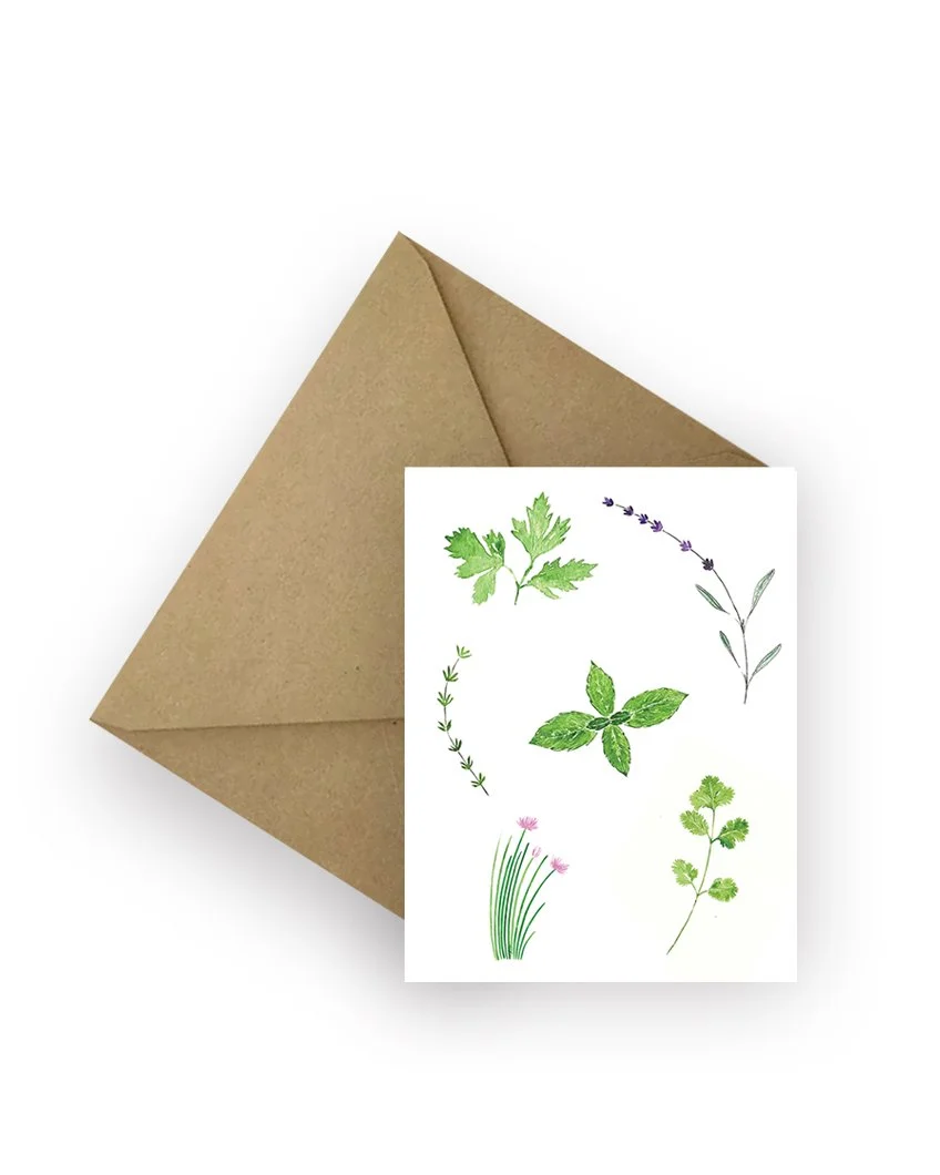 Culinary Herb Card / Gift Set of 5