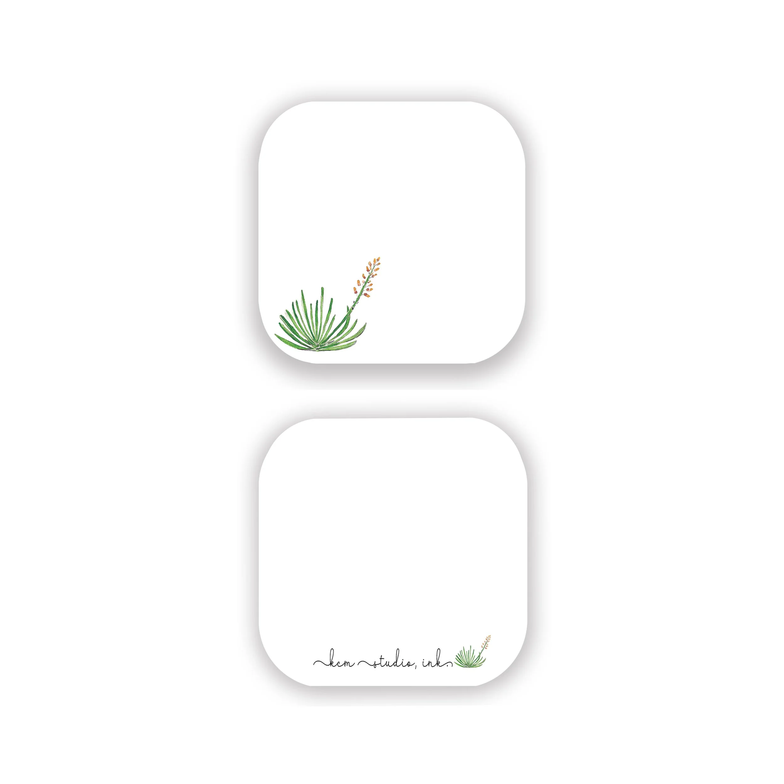 Fan Aloe_F:B_Southwest_V_WEBSITE.jpg