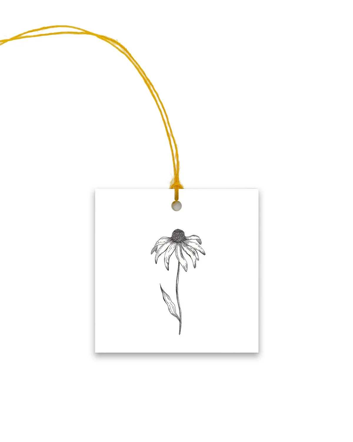 B&W Black Eyed Susan Gift Tag